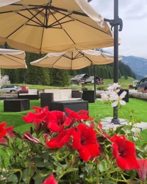 Soggiorno Dolomiti Mazzin Ngoại thất bức ảnh